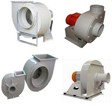 PP Asitli Ortam Salyangoz Fanlar